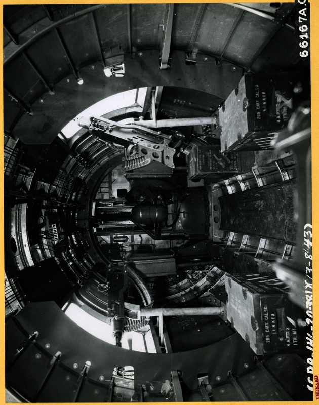 517c888f47ea26.87167996