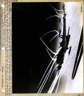 517c8b604ffe06.27378118