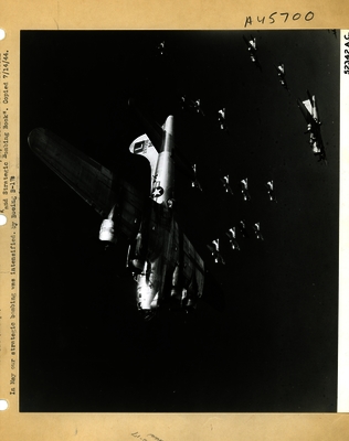 517c8b6b5b8df7.39328309