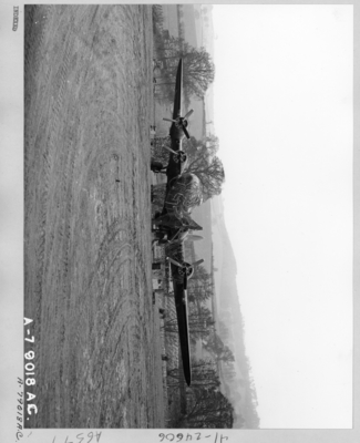 517c8b99b23ae8.13221775