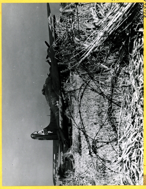 517c8baee63415.67248879