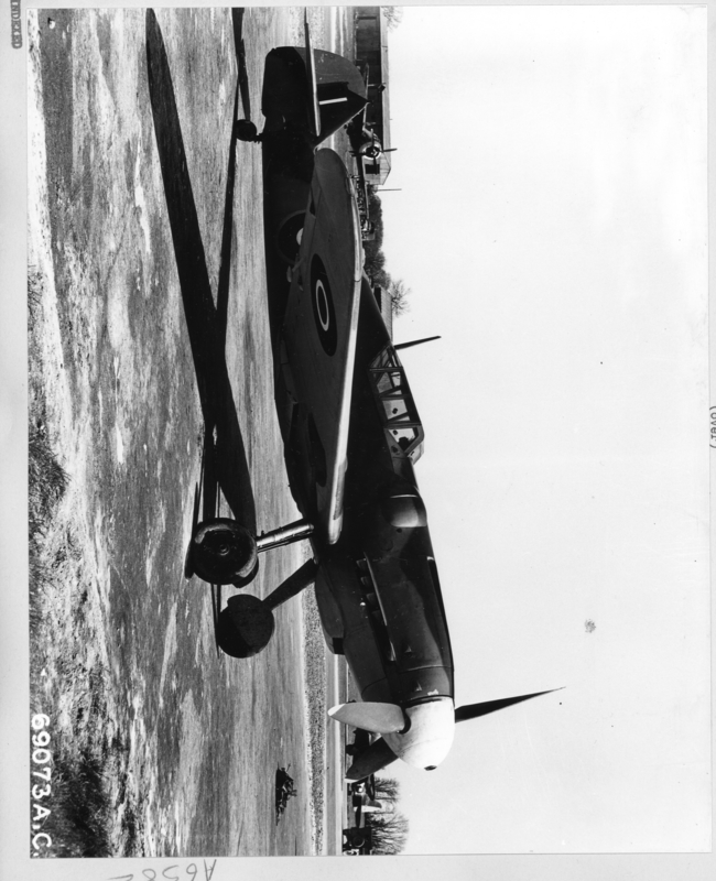 517c43044f6d09.09453155