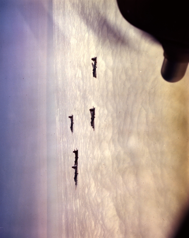 517d80904e5023.25121656