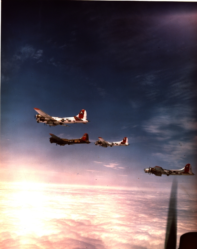 517d80969a39f8.98147056