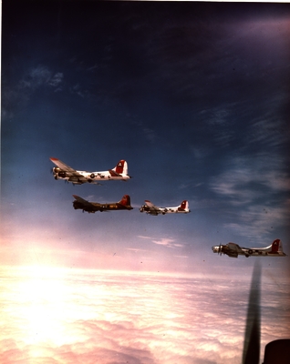 517d80969a39f8.98147056