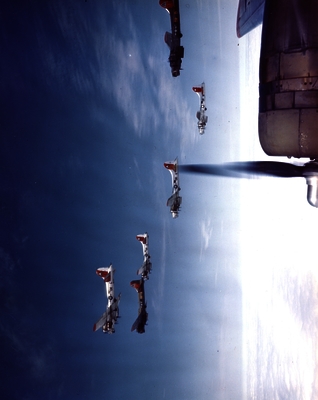 517d809d11b241.87858399