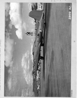 517d81bc6af312.43953519