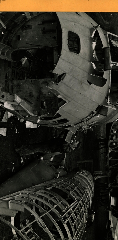 517d8241a69a62.83024467