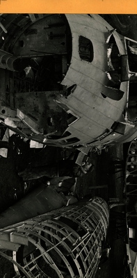 517d8241a69a62.83024467