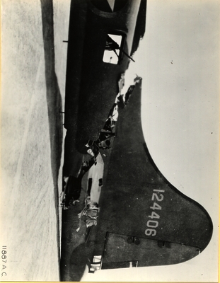 517d86acc4a448.73393933