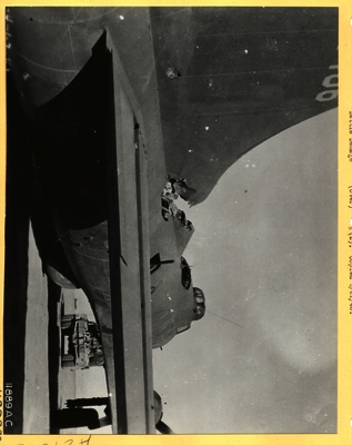 517d86b99193b1.59347954