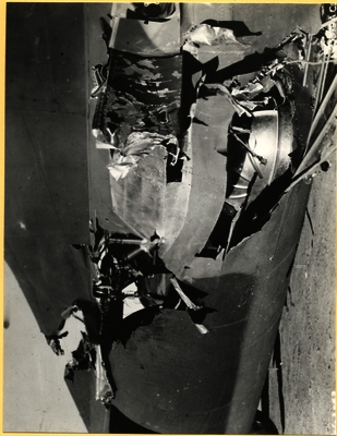 517d86c019e4e0.01315058