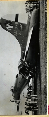 517d86c74462e7.06550656