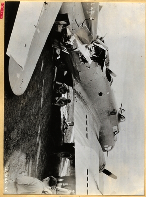 517d86ca8197f4.65883556