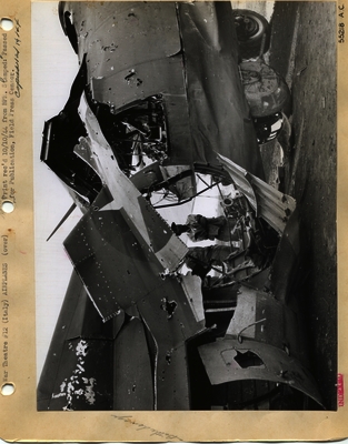 517d86d1c7e9f2.61541979