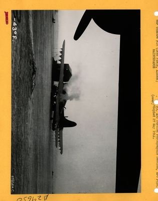 517d87332681e8.92700037