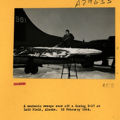 517d873aa605a9.40749617