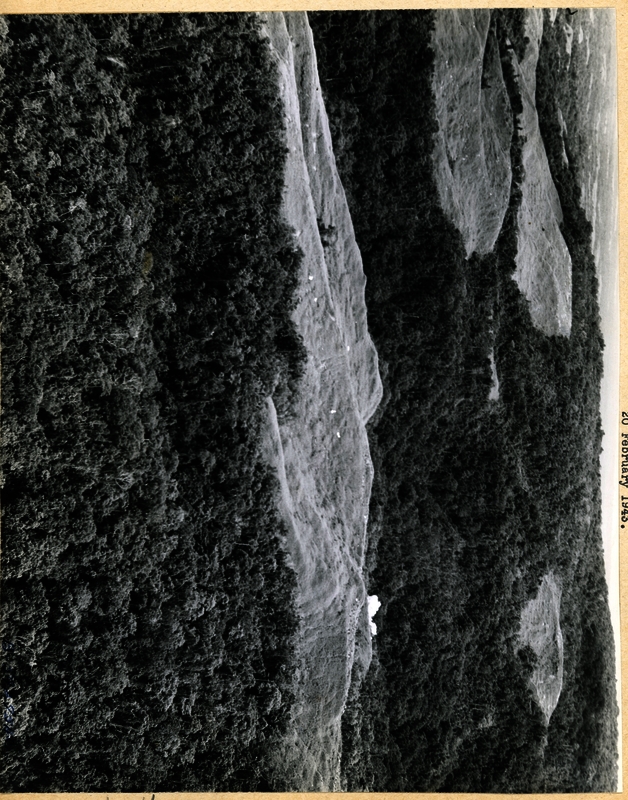 517d8b3518b7a1.65533210