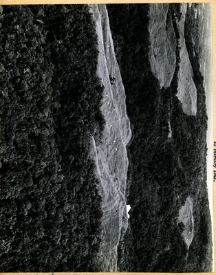 517d8b3518b7a1.65533210