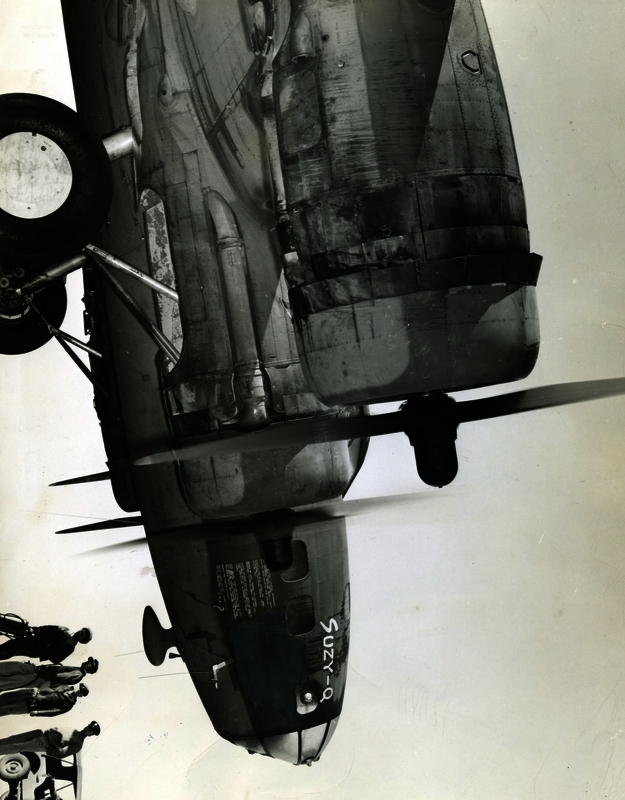 517d8b43d422c4.51758262