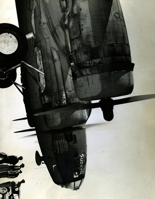 517d8b43d422c4.51758262