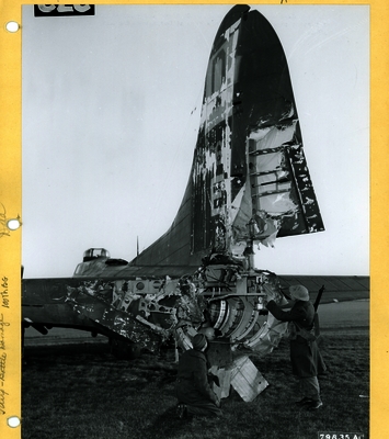 517d8b4c883282.97496348