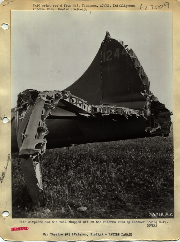 517d8b567a4069.82087908