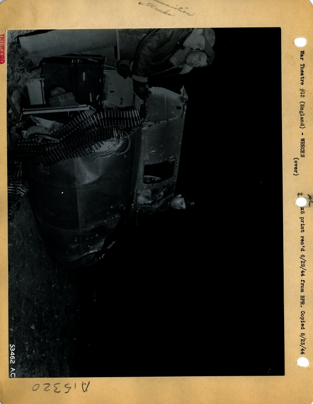 517d8b5e0eaea7.69771931