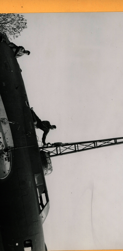 517d8b8233bea5.41498537