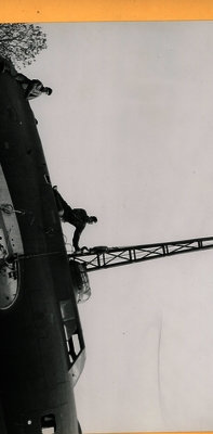 517d8b8233bea5.41498537