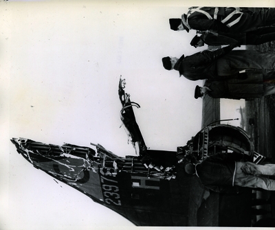 517d8b85445b96.81793414