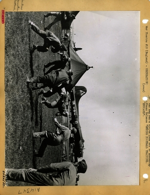 517d8b9a3c3077.50540747