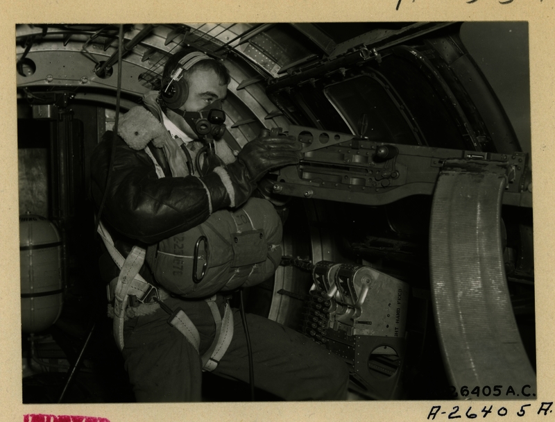 517d8bd703b849.71880136