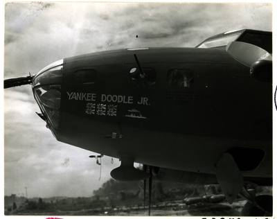 517d8bef7c8ad7.58423009