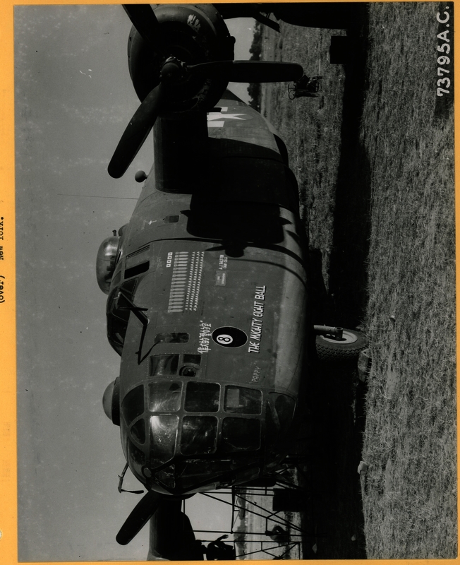 517d935bbeeae7.08681293