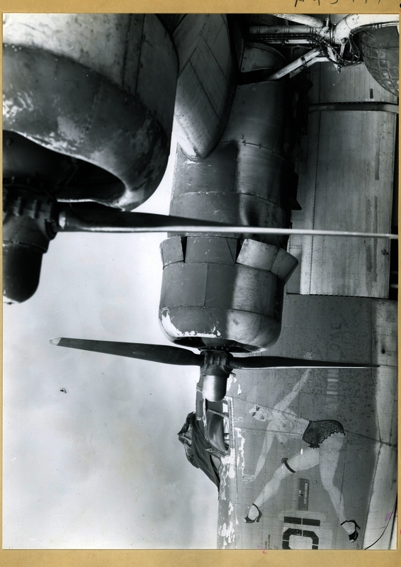 517d9450ca5975.37484226