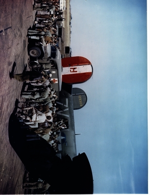 517d955a86d005.50002616