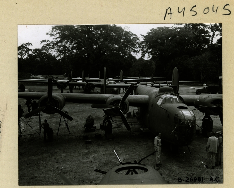 517d95639c3e32.38346852