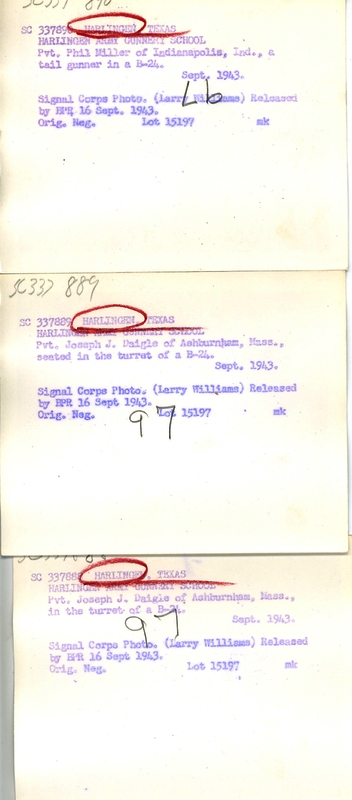 517d9638484083.90266148