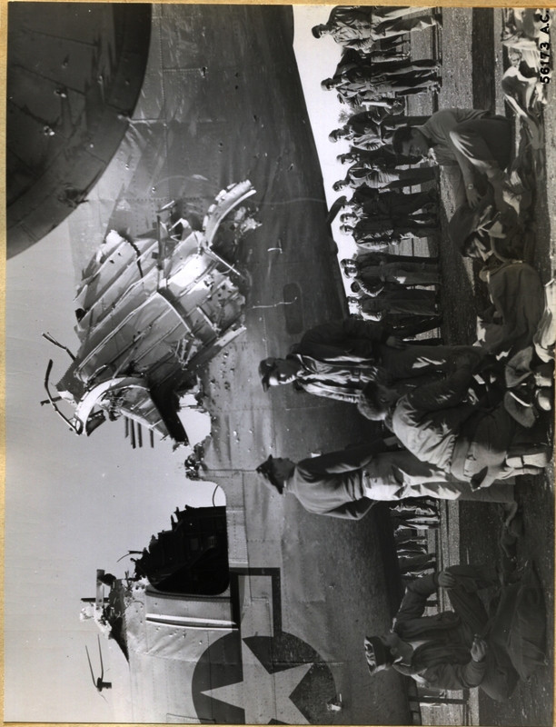 517d96c0a5b230.89661054