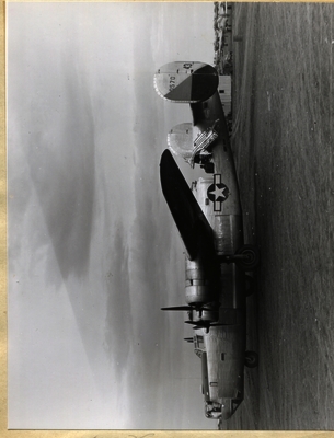 517d96c7d42af6.28174299