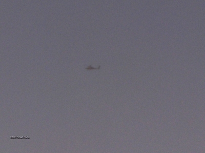 517dd60fa6dc66.31336835