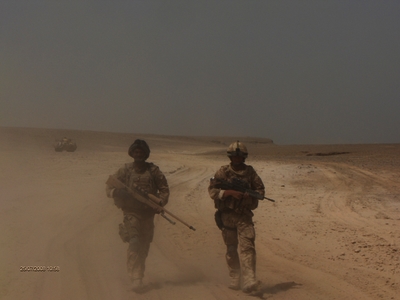 517dd619bd3846.07150387