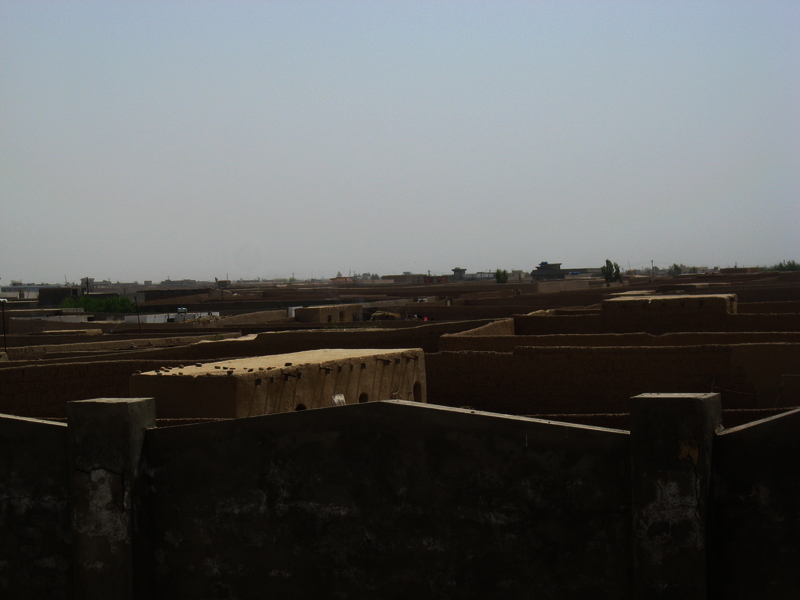 517e821e819de6.57876472