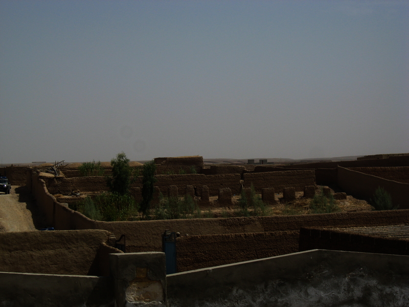 517e82386cfec6.14206274