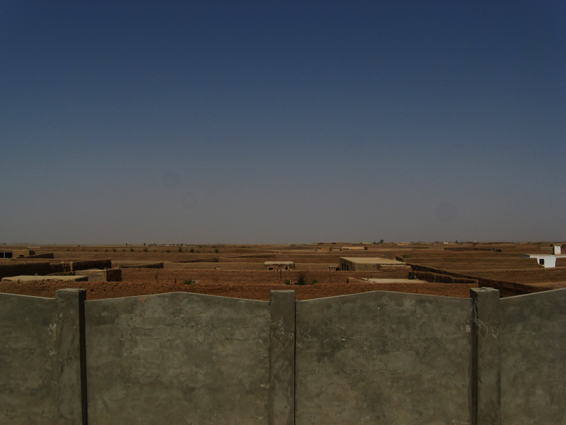 517e8255da4ab4.26960046