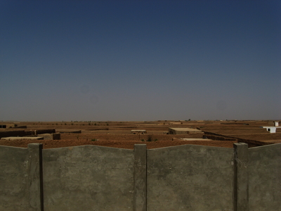 517e8255da4ab4.26960046