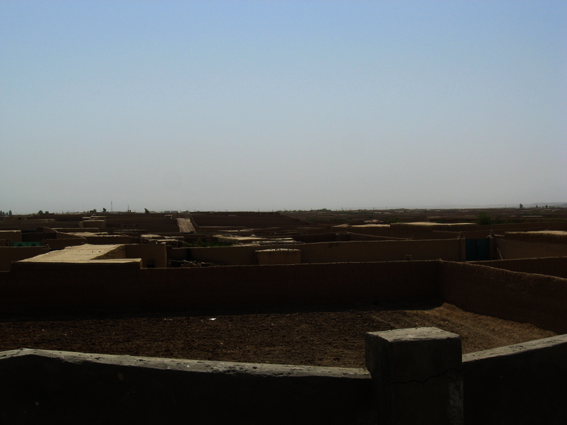 517e82a6d78c72.22392763