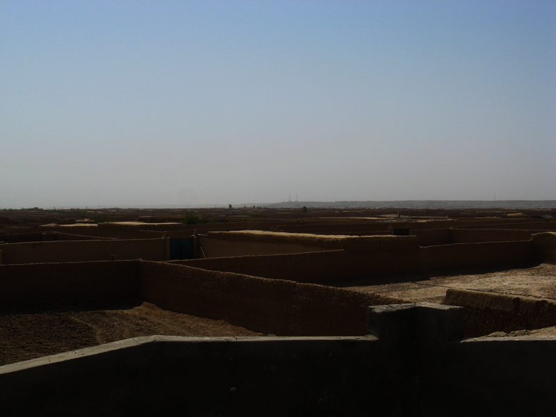 517e82c06b6306.50053829