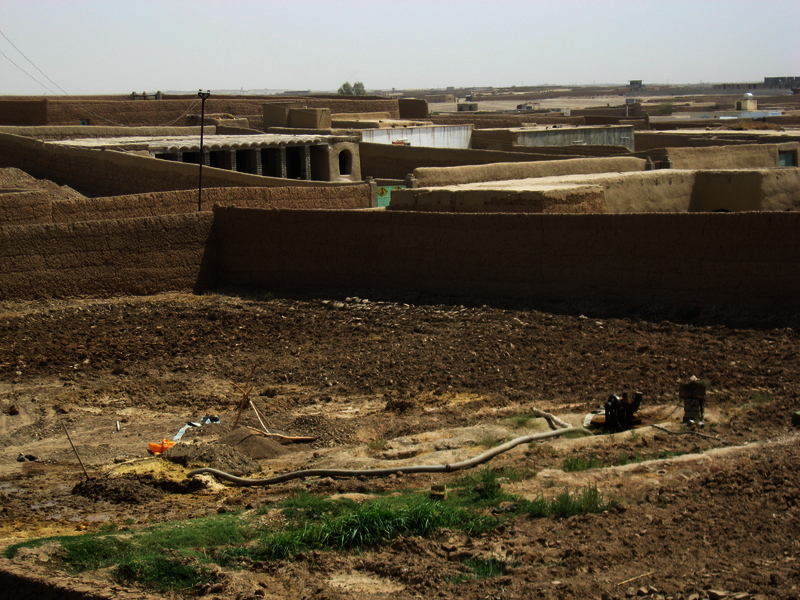 517e833f213460.26804227